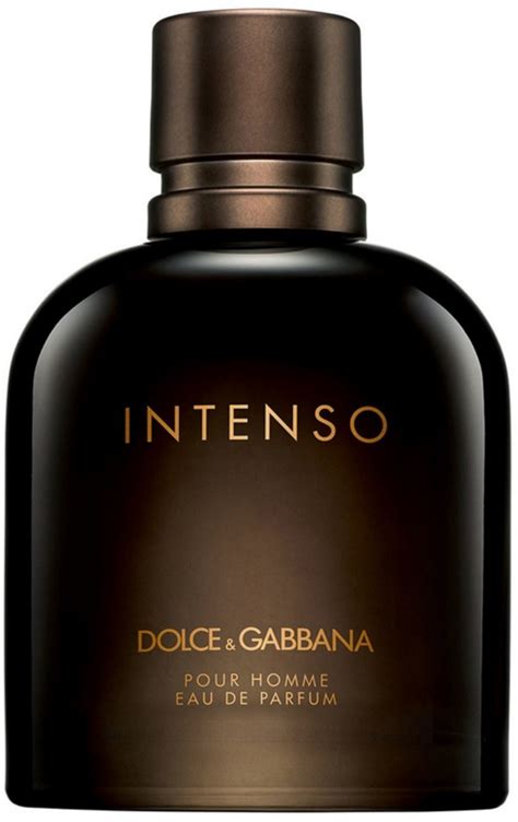 intenso dolce gabbana for men